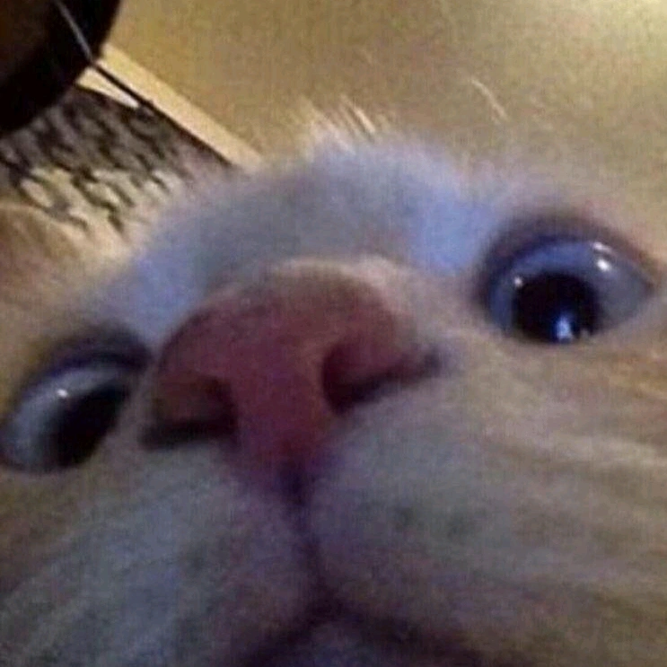 Mustafa efe Gökmen oğlu