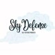 SkyDefense ☁️