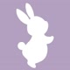 taro_bunny