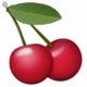 🍒🍒🍒🍒🍒🍒🍒
