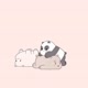 🐼🐼