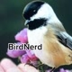 BirdNerd