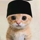 Kucing Ramadhan