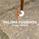 palomafurnindo