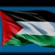 FREE PALESTINE 🇵🇸