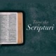 taine.din.scripturi