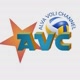 Alva Voli ball