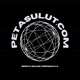 petasulut.com