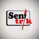 Seni Trik