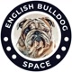 englishbulldog.space