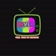V-VOF TV
