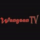 Wangsan TV