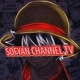 SOFYAN CHANNEL TV
