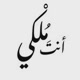 أنتَ مُلْكِي