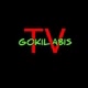 Gokil Abis TV