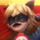 _miraculous_cat_bug_