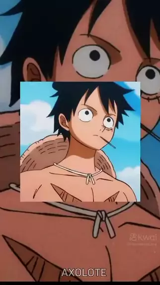 imagem do luffy calvo