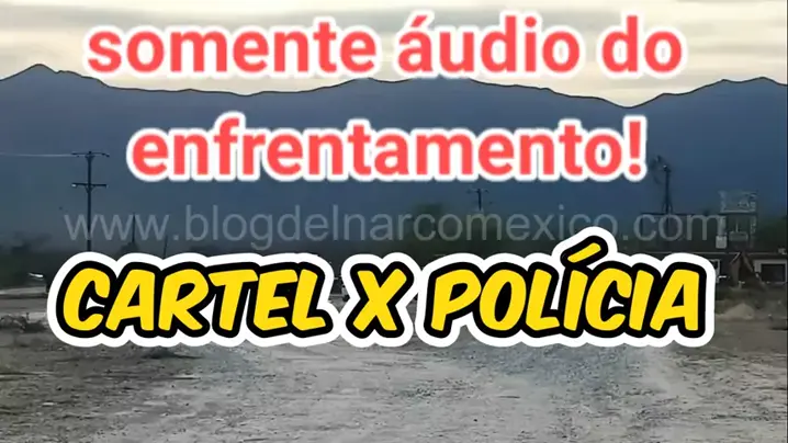 blog del narco ejecuciónes | Discover