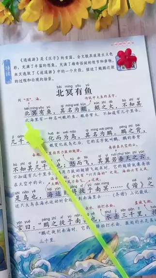 儿童充满想象的玩具 | Discover