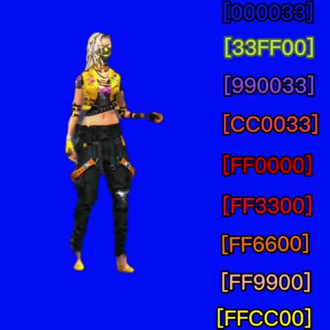 Codiguinho