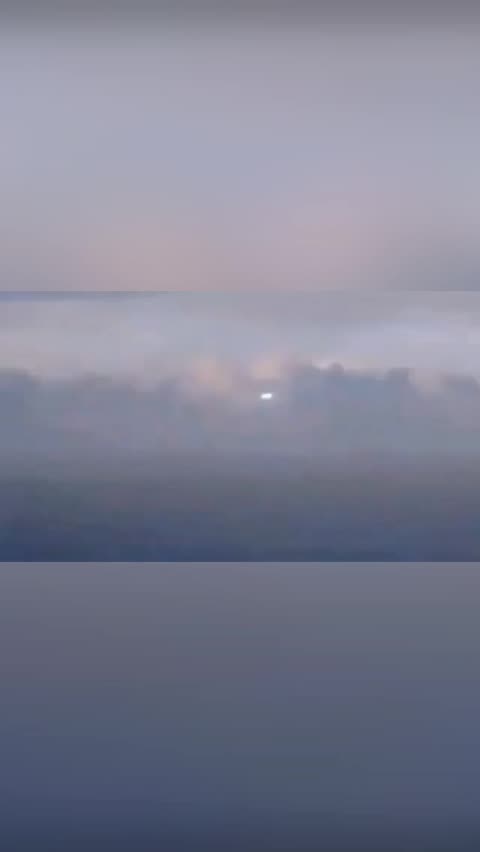 august laines xxx & august.lainesDiscover