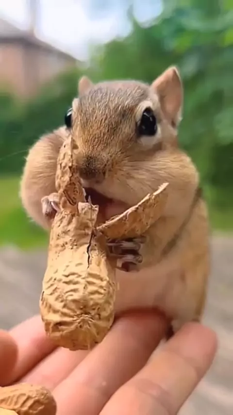 enature.com & enature ru| Discover