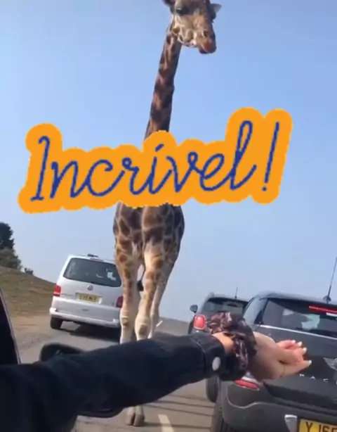 مجموعة 65 من مقاطع ورعان سعودي خليجي | Discover->