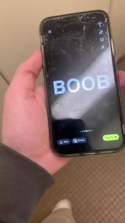 boob bug | Discover