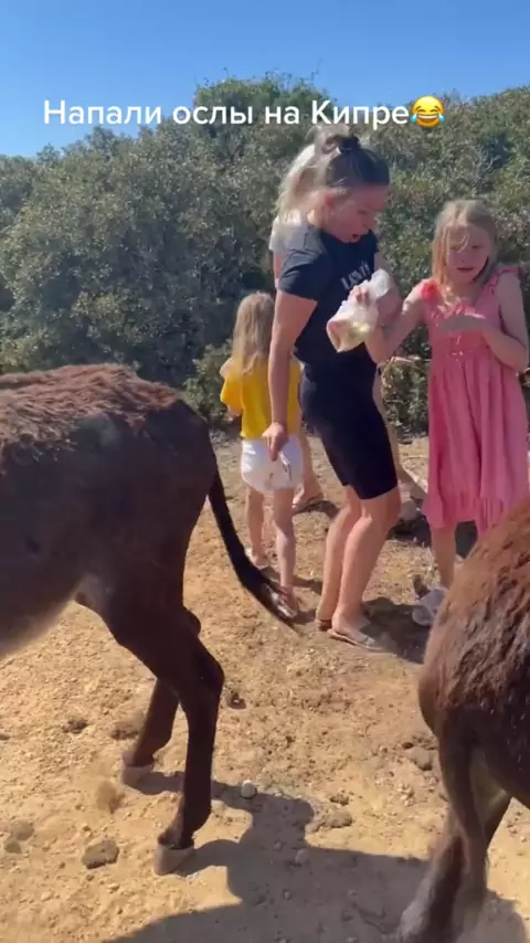 viral indo ibu dan anak bokep