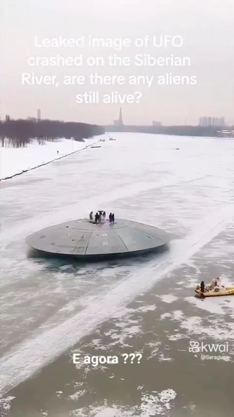 siberian mouse leak | Discover