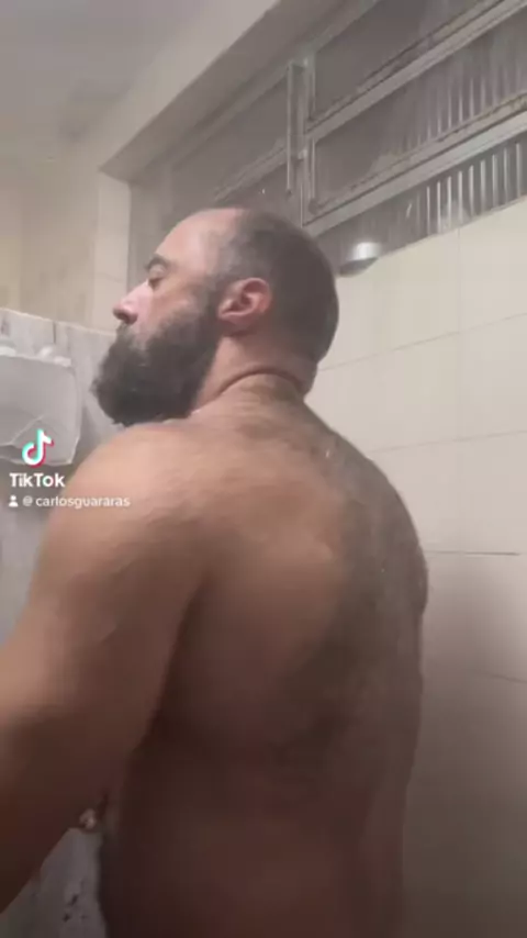hairy muscle bear solo | Discover