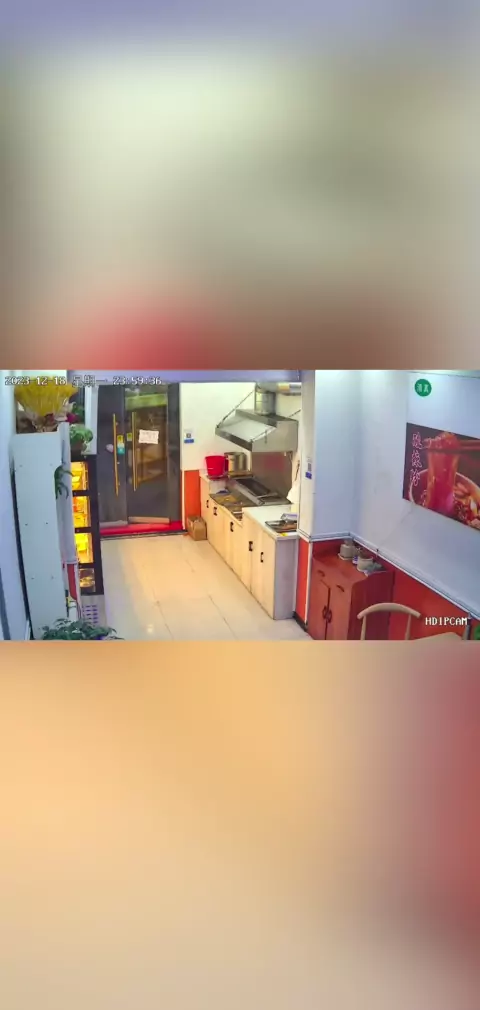 ipcam mother | Discover 