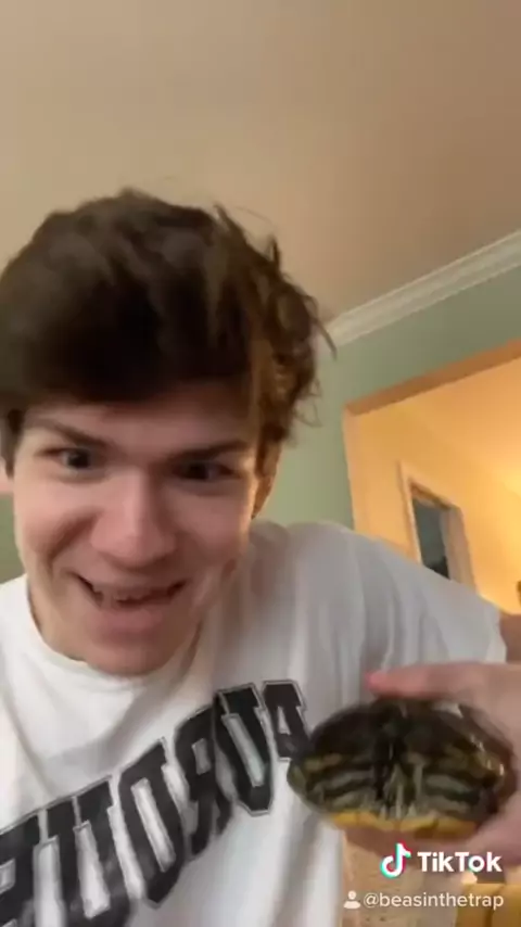 jenna trap face reveal | Discover