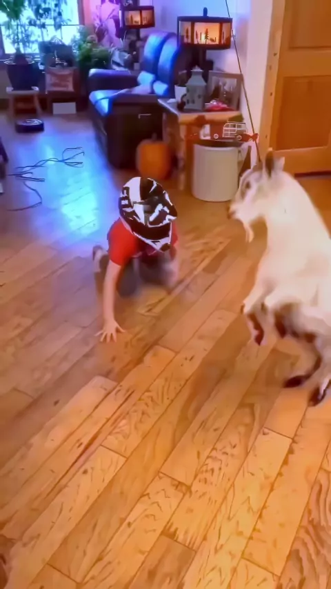 toddlercon game | Discover