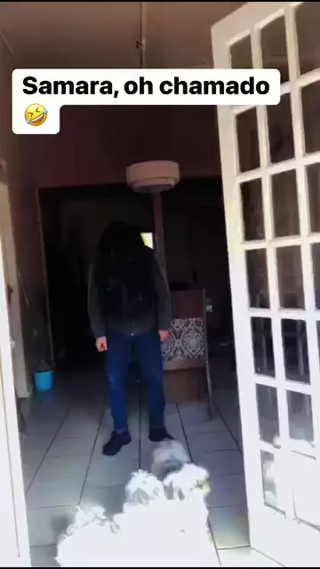 Explicação dosamara o samara