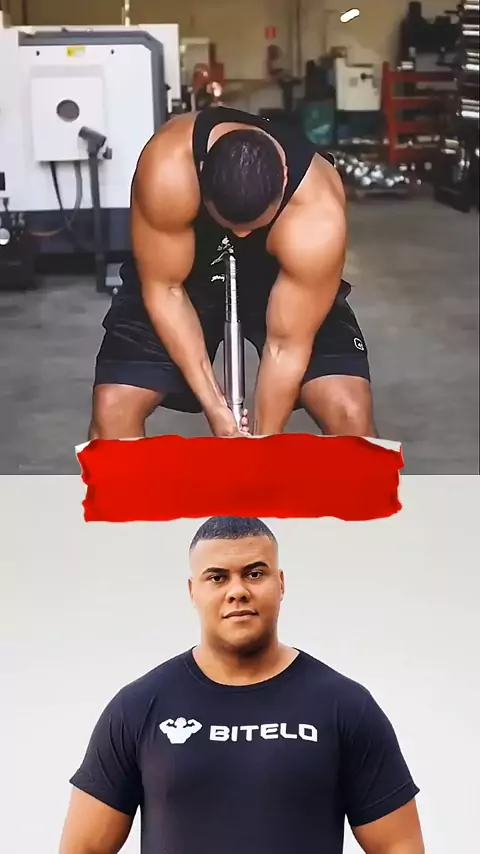 Bitelo edit