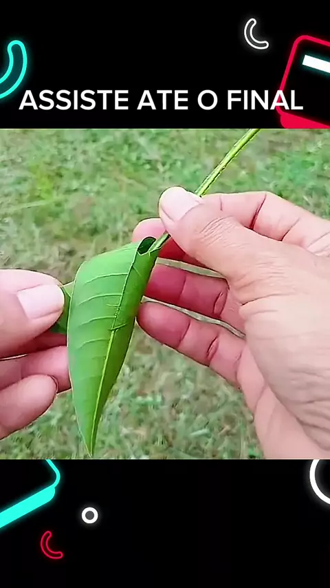 novinhas+18 telegram | Discover