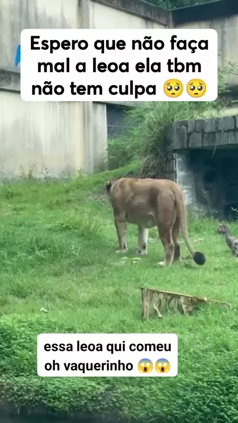 mc bionica dancando de sainha curta | Discover